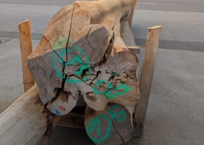 Quelle: Mevissen - Superunikat Nr. 5 mit geteiltem Stock in Komplettansicht